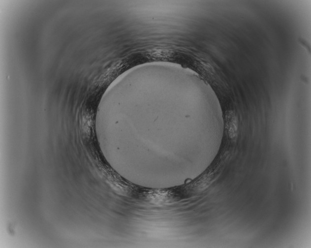 X0000100310235200806261210