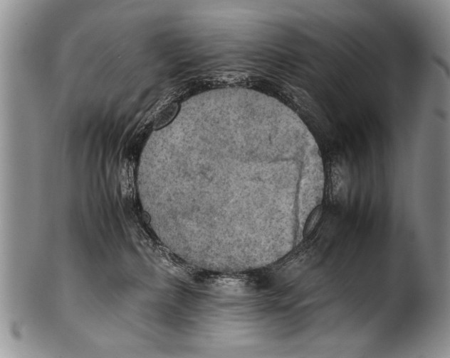 X0000100310236200806261210