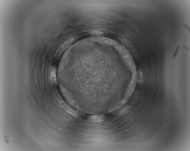 X0000100310238200806261210