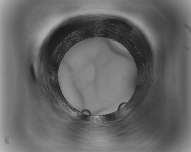 X0000100310239200806261210