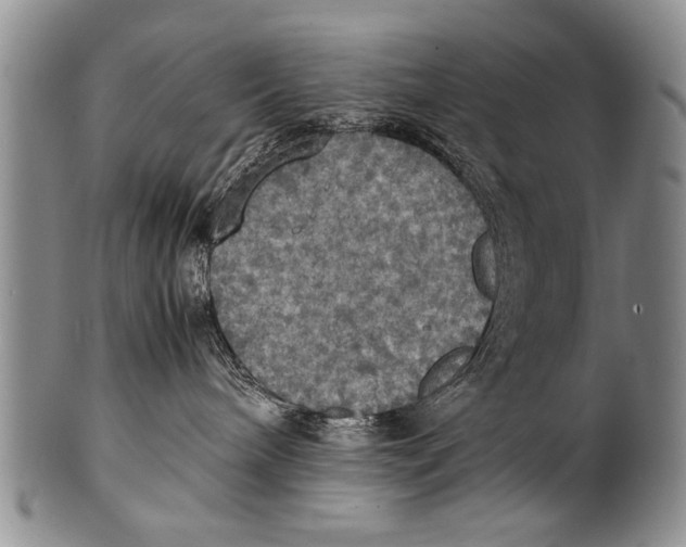 X0000100310240200806261210