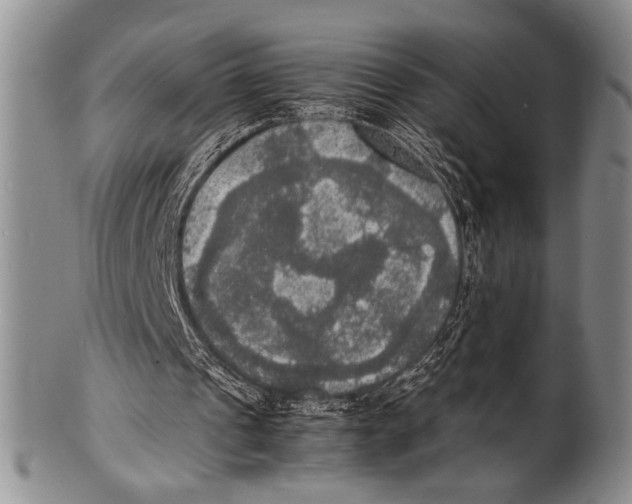 X0000100310241200806261209