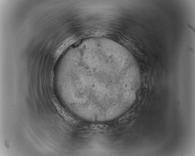 X0000100310242200806261209