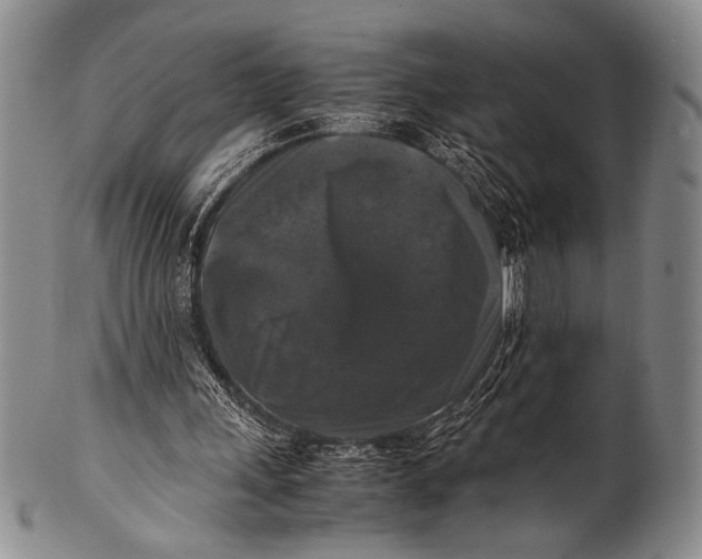 X0000100310243200806261209