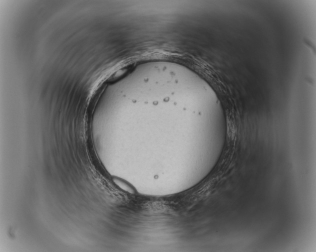 X0000100310244200806261209