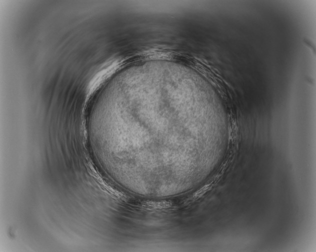 X0000100310245200806261209