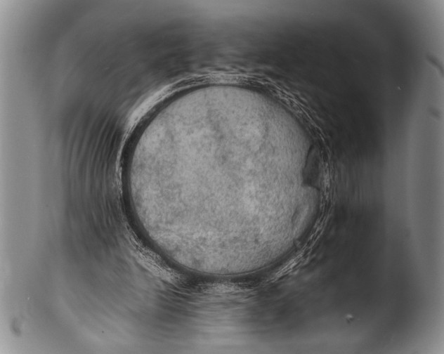 X0000100310246200806261209