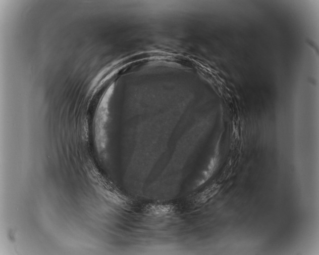 X0000100310247200806261209