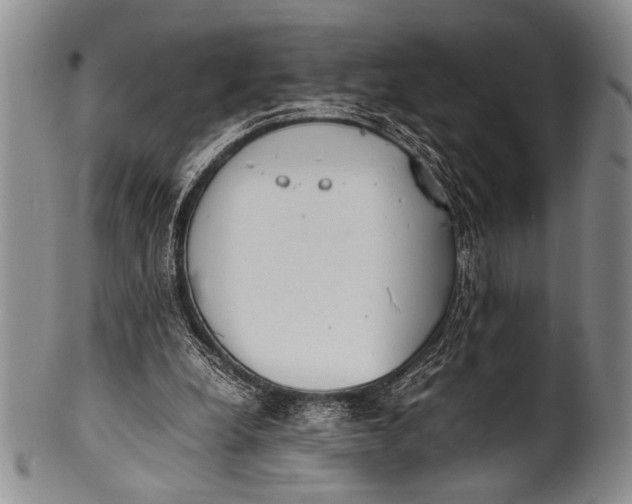 X0000100310248200806261209