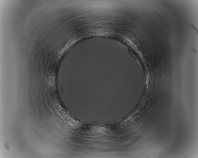 X0000100310249200806261209