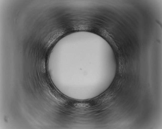 X0000100310251200806261209