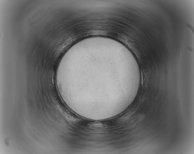 X0000100310253200806261209