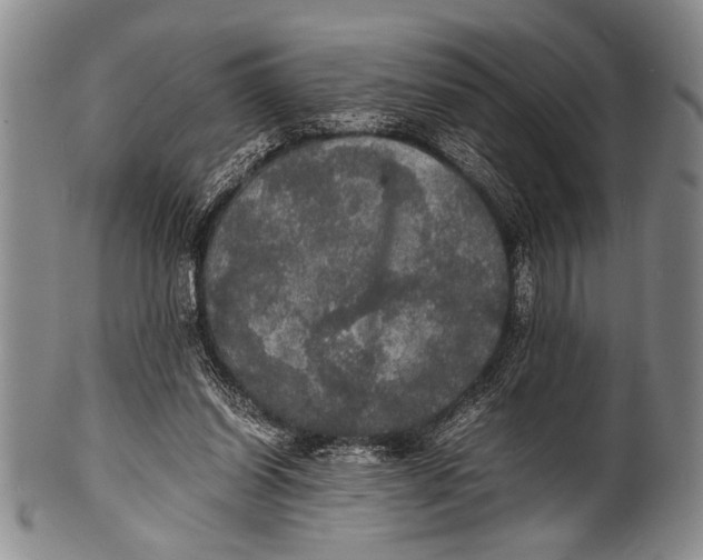 X0000100310254200806261209