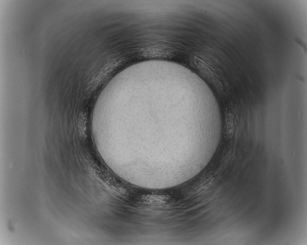 X0000100310255200806261209