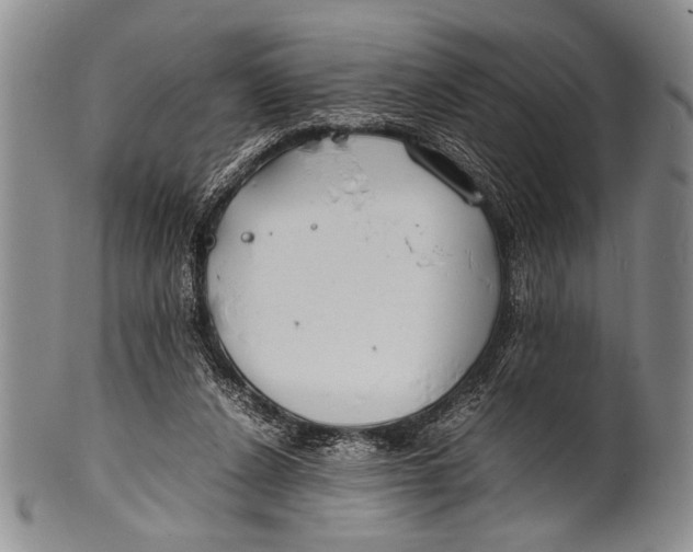 X0000100310256200806261209