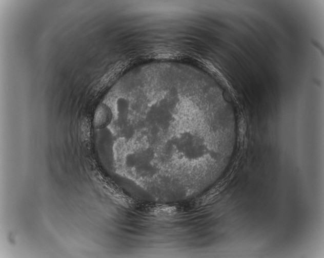 X0000100310257200806261209