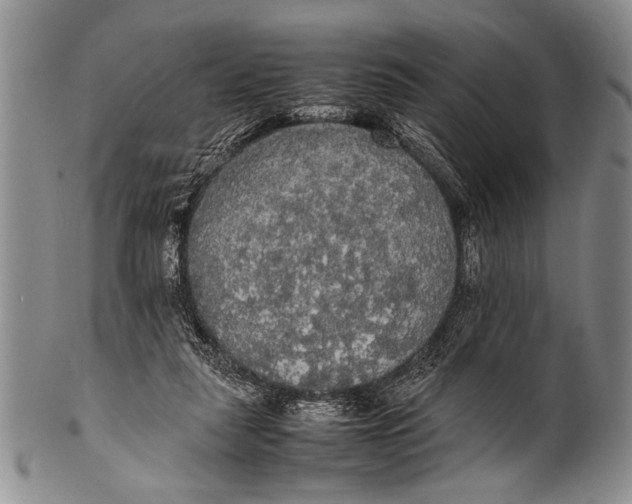 X0000100310259200806261209