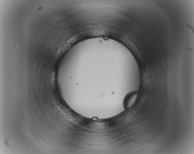 X0000100310260200806261209