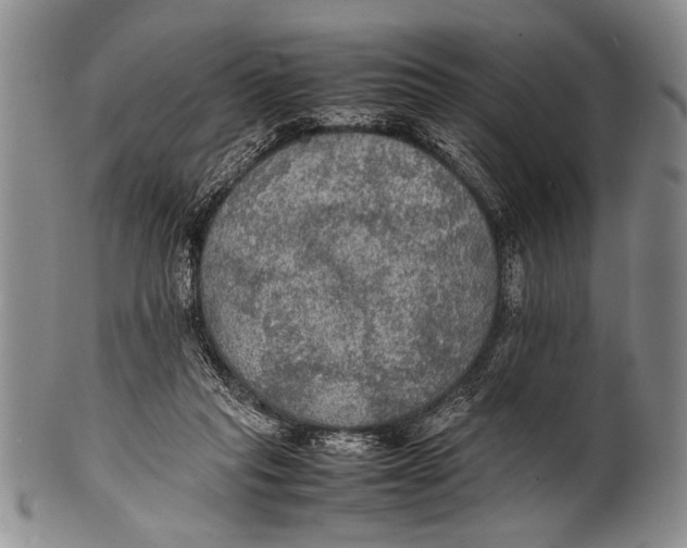 X0000100310261200806261209