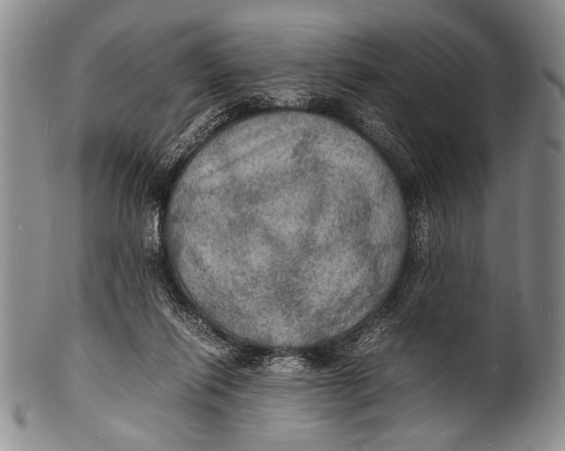 X0000100310262200806261209