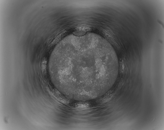 X0000100310263200806261209