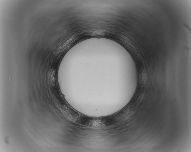 X0000100310264200806261209