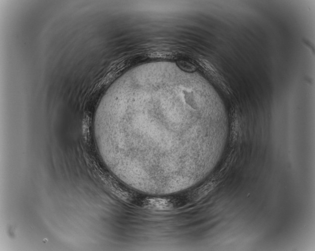 X0000100310265200806261209