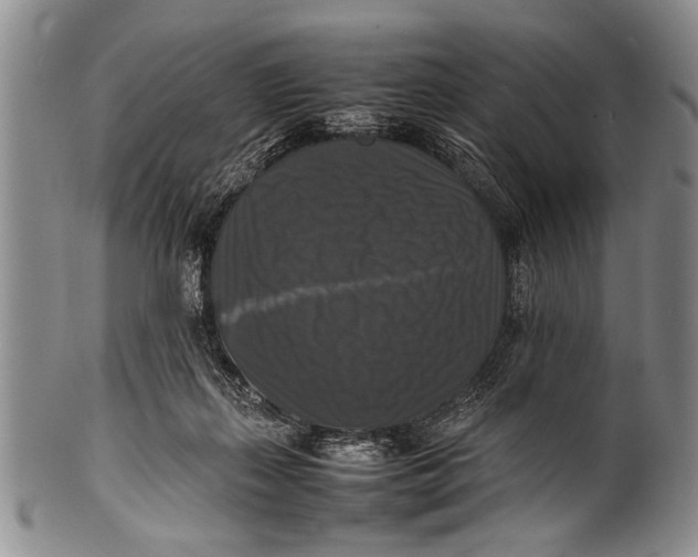 X0000100310267200806261209