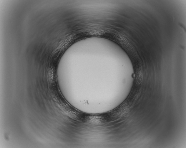 X0000100310268200806261209