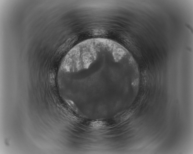 X0000100310269200806261209