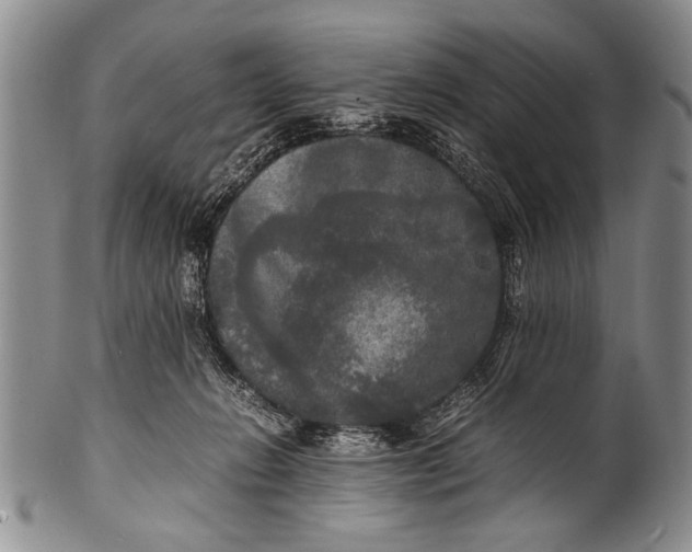 X0000100310270200806261209