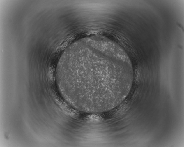 X0000100310272200806261209