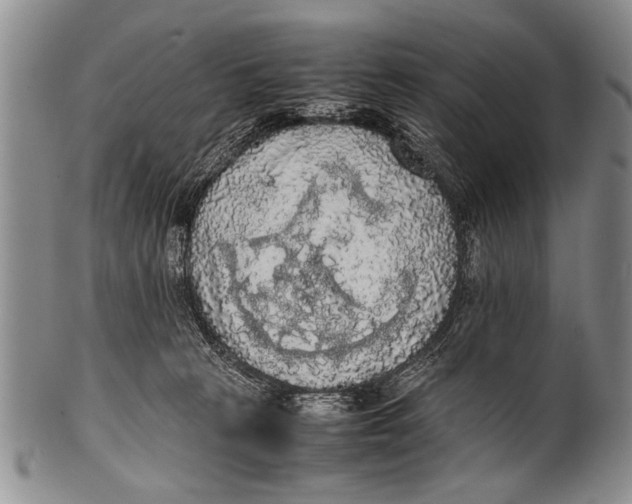 X0000100310273200806261209