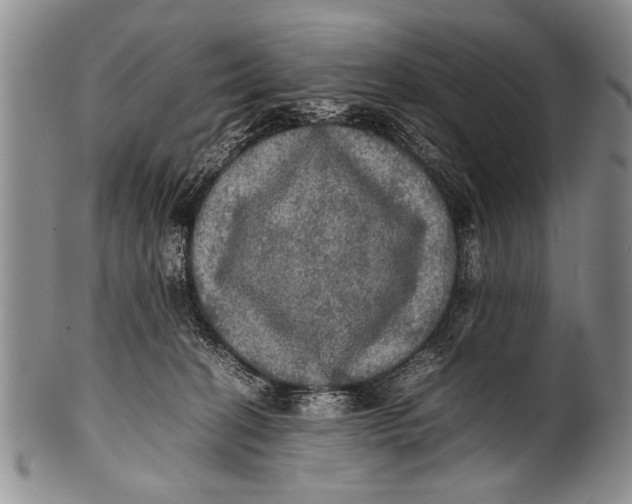 X0000100310274200806261209