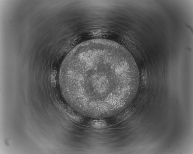 X0000100310275200806261209