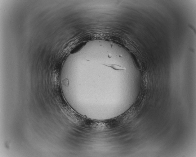 X0000100310276200806261209