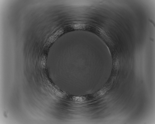 X0000100310277200806261209