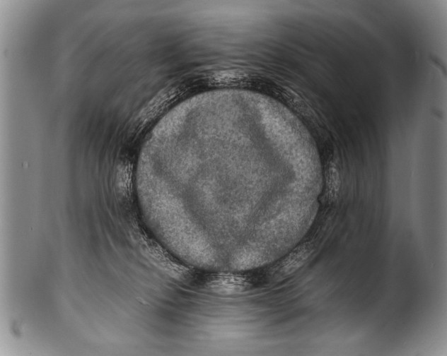 X0000100310278200806261209