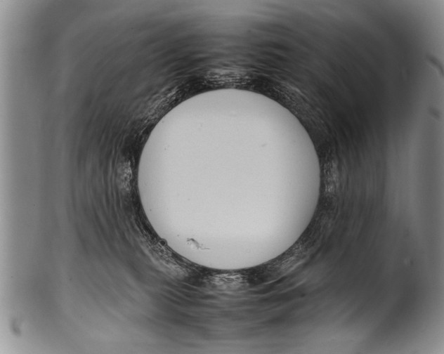 X0000100310279200806261209