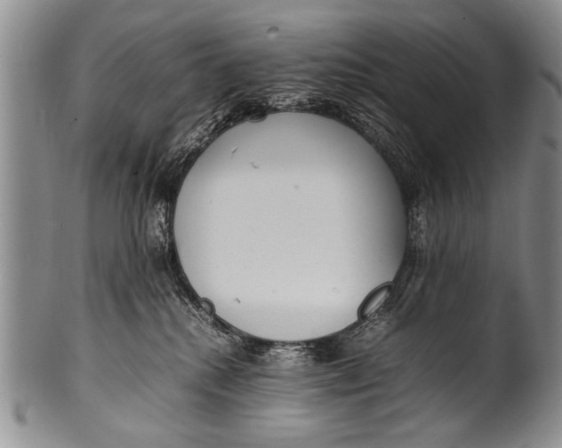 X0000100310280200806261209