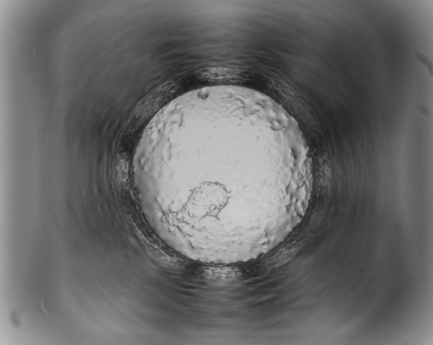 X0000100310281200806261209