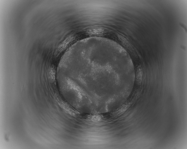 X0000100310282200806261209