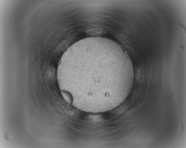 X0000100310283200806261209