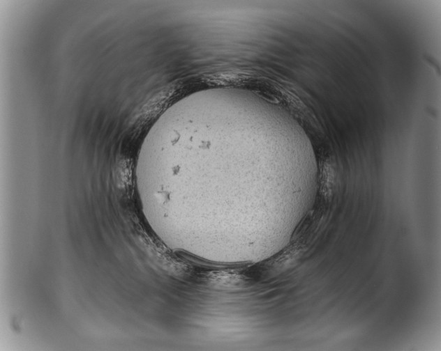 X0000100310284200806261209