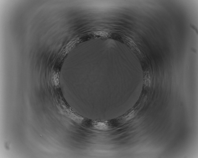 X0000100310285200806261209