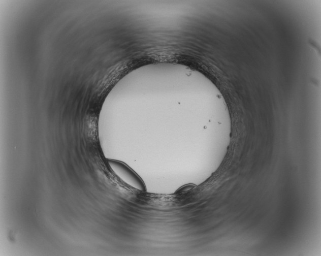 X0000100310288200806261209