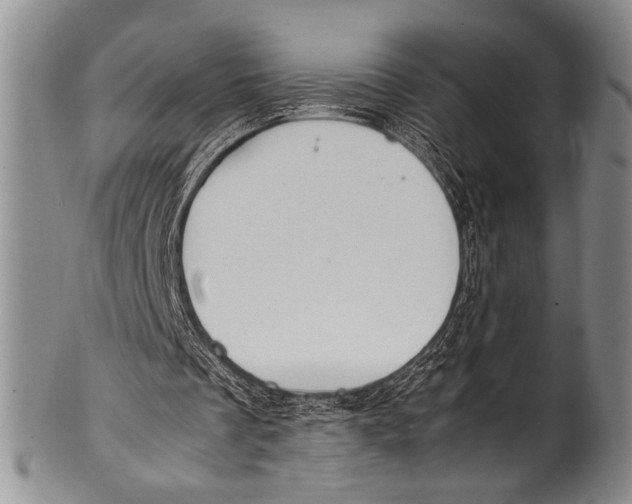 X0000100310289200806261209