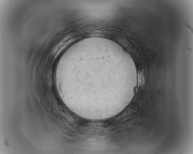 X0000100310291200806261209