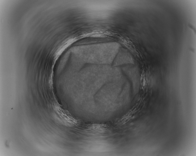 X0000100310292200806261209