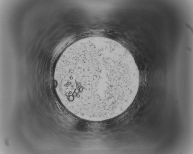 X0000100310293200806261209